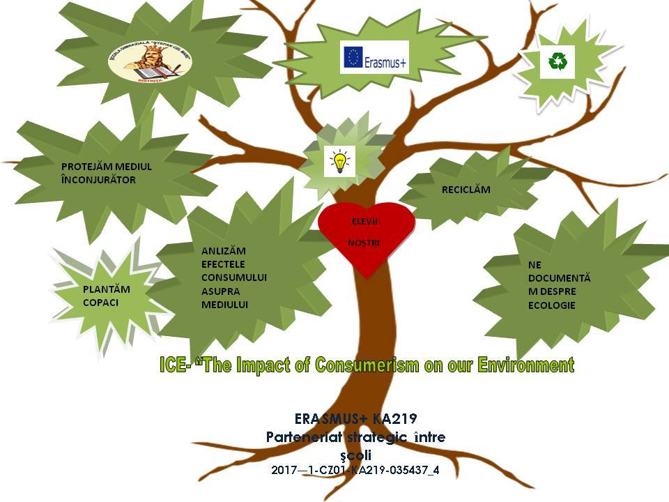 Materiale de promovare ale proiectului Erasmus+ ICE
